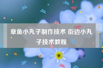 章鱼小丸子制作技术 街边小丸子技术教程