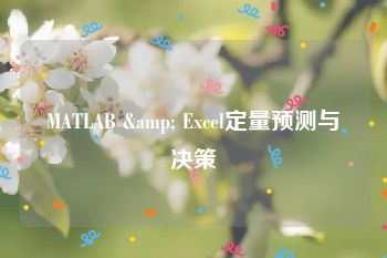 MATLAB & Excel定量预测与决策