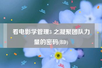 看电影学管理3 之凝聚团队力量的密码(BD)