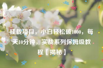 挂载项目，小白轻松破1000，每天10分钟，实战系列保姆级教程【揭秘】