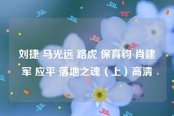 刘捷 马光远 路虎 保育钧 肖建军 应平 落地之魂（上）高清