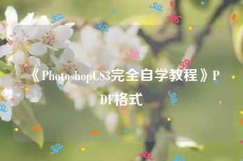 《PhotoshopCS3完全自学教程》PDF格式