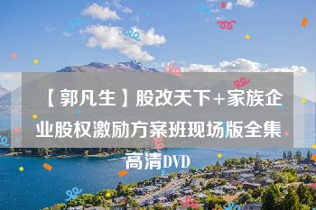 【郭凡生】股改天下+家族企业股权激励方案班现场版全集高清DVD