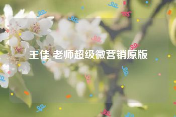 王佳 老师超级微营销原版