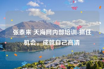 张泰来 天海网内部培训-抓住机会，成就自己高清