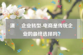 潇彧 企业转型-电商是传统企业的最终选择吗？