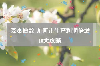 降本增效 如何让生产利润倍增10大攻略