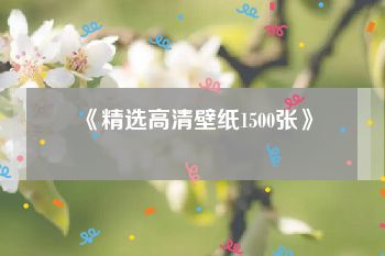 《精选高清壁纸1500张》