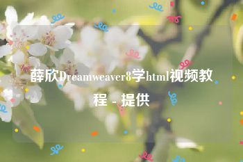 薛欣Dreamweaver8学html视频教程 - 提供