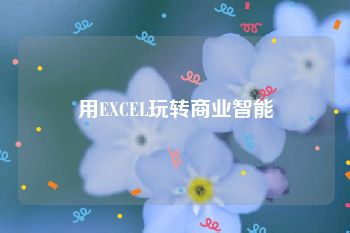 用EXCEL玩转商业智能