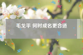 毛戈平 何时成名更合适