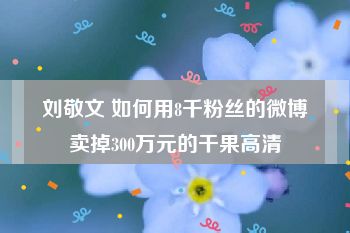 刘敬文 如何用8千粉丝的微博卖掉300万元的干果高清