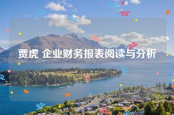 贾虎 企业财务报表阅读与分析