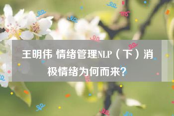 王明伟 情绪管理NLP（下）消极情绪为何而来？