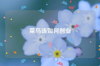 菜鸟该如何创业