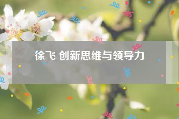 徐飞 创新思维与领导力