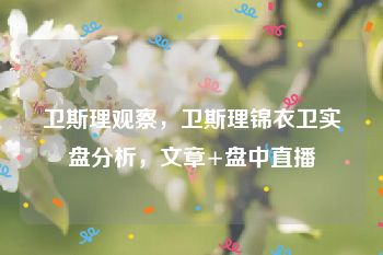 卫斯理观察，卫斯理锦衣卫实盘分析，文章+盘中直播