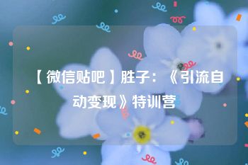 【微信贴吧】胜子：《引流自动变现》特训营