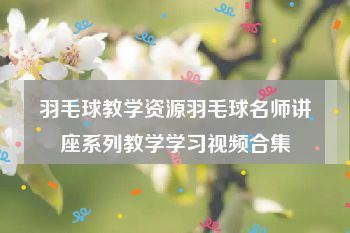 羽毛球教学资源羽毛球名师讲座系列教学学习视频合集