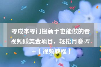 零成本零门槛新手也能做的看视频赚美金项目，轻松月赚5W+【视频教程】