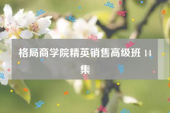 格局商学院精英销售高级班 14集