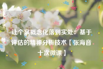 让个案概念化落到实处：基于评估的精神分析技术【张海音十次微课】