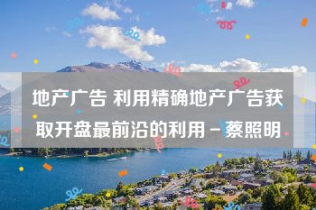 地产广告 利用精确地产广告获取开盘最前沿的利用－蔡照明