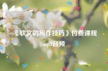 《软文的写作技巧》付费课程mp3音频