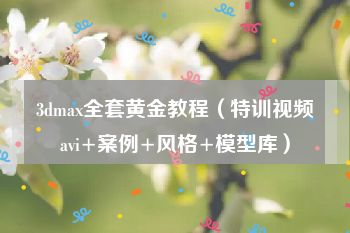 3dmax全套黄金教程（特训视频avi+案例+风格+模型库）