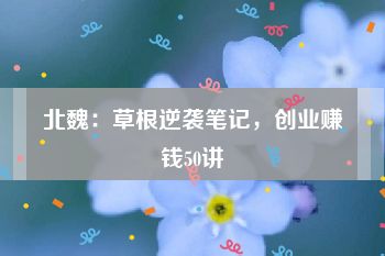 北魏：草根逆袭笔记，创业赚钱50讲