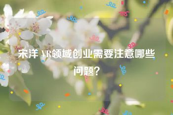 宋洋 VR领域创业需要注意哪些问题？