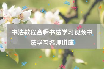 书法教程合辑书法学习视频书法学习名师讲座