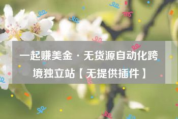 一起赚美金·无货源自动化跨境独立站【无提供插件】