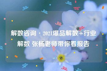 解数咨询·2021爆品解数+行业解数 张杨老师带你看报告