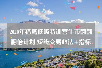 2020年猎鹰低吸特训营牛市翻翻翻倍计划 短线交易心法+指标