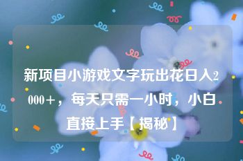 新项目小游戏文字玩出花日入2000+，每天只需一小时，小白直接上手【揭秘】