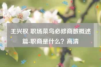 王兴权 职场菜鸟必修商数概述篇-职商是什么？高清