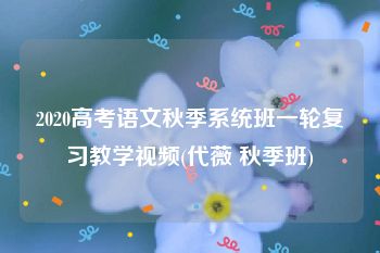 2020高考语文秋季系统班一轮复习教学视频(代薇 秋季班)