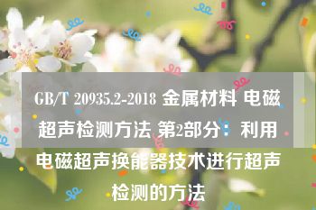 GB/T 20935.2-2018 金属材料 电磁超声检测方法 第2部分：利用电磁超声换能器技术进行超声检测的方法