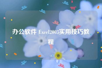 办公软件 Excel2003实用技巧教程