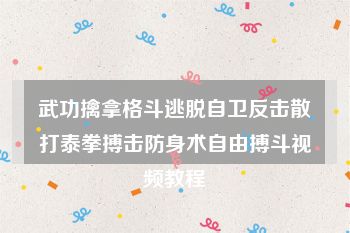 武功擒拿格斗逃脱自卫反击散打泰拳搏击防身术自由搏斗视频教程