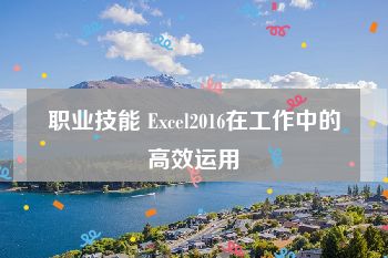 职业技能 Excel2016在工作中的高效运用