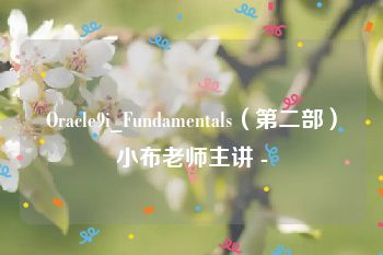 Oracle9i_Fundamentals（第二部）小布老师主讲 -