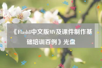 《Flash8中文版MV及课件制作基础培训百例》光盘