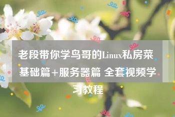 老段带你学鸟哥的Linux私房菜 基础篇+服务器篇 全套视频学习教程