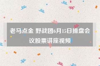 老马点金 野战团6月15日操盘会议股票讲座视频