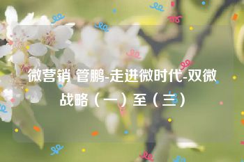 微营销 管鹏-走进微时代-双微战略（一）至（三）