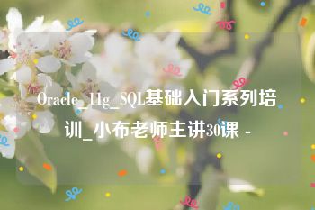 Oracle_11g_SQL基础入门系列培训_小布老师主讲30课 -