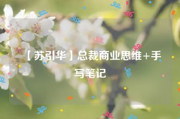 【苏引华】总裁商业思维+手写笔记