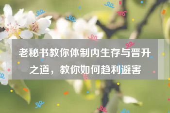 老秘书教你体制内生存与晋升之道，教你如何趋利避害